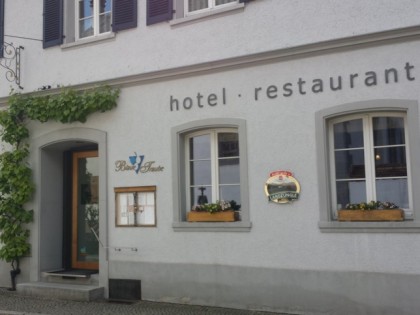 Foto: Blaue Traube